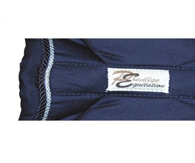Image Tapis bleu marine et argent 2423